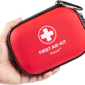 Mini First Aid Kit